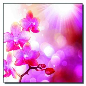Tranh dán tường Hoa Lan Tươi